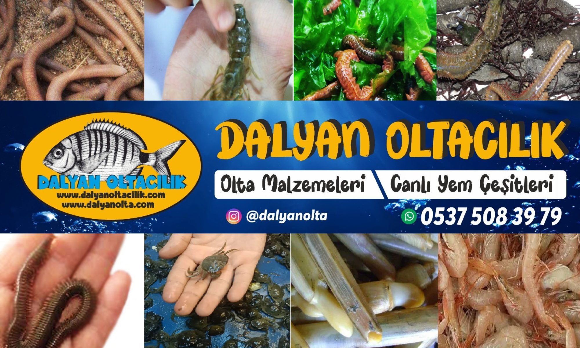 dalyan Oltacilik,Canli yem,canli Yem cesitleri